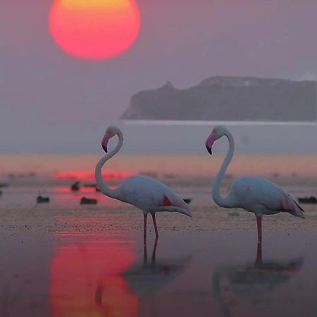 Suite Sardinia Holiday 칼리아리 외부 사진